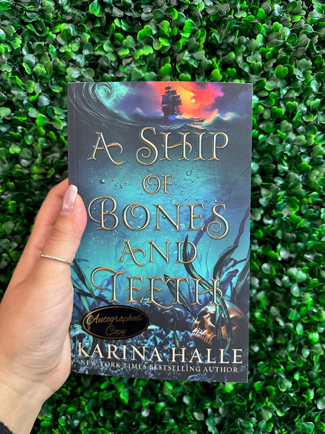 A Ship Of Bone And Teeth