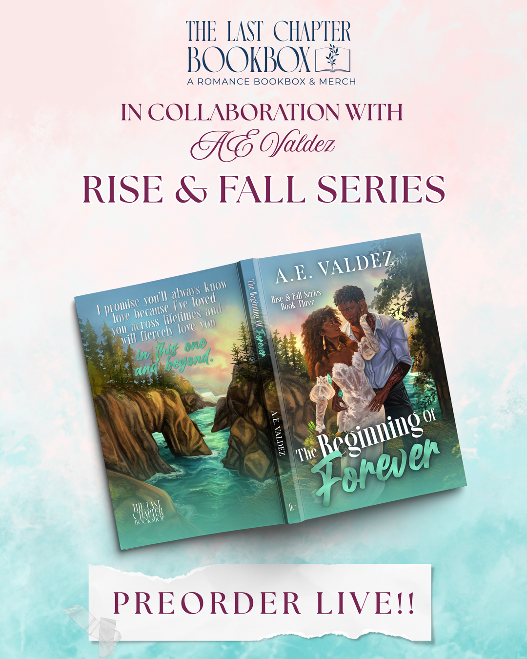 Rise and Fall series by AE Valdez FULL SERIES box